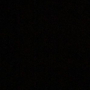 Meet your Posher, Ella